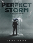 Image for The Perfect Storms