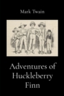 Image for Adventures of Huckleberry Finn (Illustrated)
