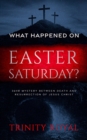 Image for What Happened on Easter Saturday?. 36 hrs Mystery between Death and Resurrection of Jesus Christ