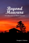 Image for Beyond Measure
