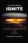 Image for Ignite the Raw Fire Power Within You - Holy Spirit Baptism Manual