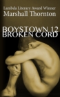 Image for Boystown 12 : Broken Cord