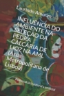 Image for Influencia Do Ambiente Na Selecao Da Pedra Calcaria de Lioz Na AML (Area Metropolitana de Lisboa)