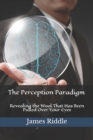 Image for The Perception Paradigm : Revealing the Wool That Has Been Pulled Over Your Eyes
