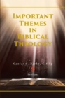 Image for Important Themes in Biblical Theology