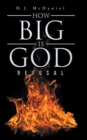 Image for How Big Is God