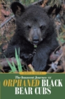 Image for Innocent Journey of Orphaned Black Bear Cubs