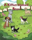 Image for A Kitten Named Boye