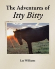 Image for The Adventures of Itty Bitty