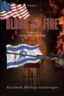 Image for Blood and Fire: Volume 2