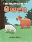 Image for The Adventures of Owen
