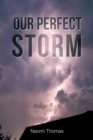 Image for Our Perfect Storm