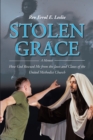Image for Stolen Grace : A Memoir: How God Rescued Me From The Jaws And Claws Of The United Methodis