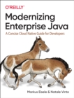 Image for Modernizing Enterprise Java