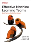 Image for Effective Machine Learning Teams : Best Practices for ML Practitioners