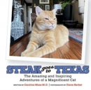 Image for Steak Goes to Texas : The Amazing and Inspiring Adventures of a Magnificent Cat