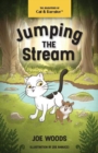 Image for Jumping the Stream : The Adventures of Cat and Hamster