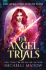 Image for The Angel Trials
