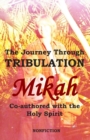 Image for The Journey Through Tribulation