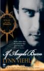Image for If Angels Burn: A Novel of the Darkyn : 1