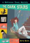 Image for Dark Stairs