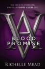 Image for Blood promise : 4