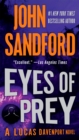 Image for Eyes of prey