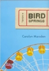 Image for Bird Springs