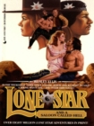 Image for Lone Star and a Saloon Called Hell