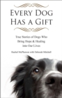 Image for Every dog has a gift: true stories of dogs who bring hope &amp; healing into our lives