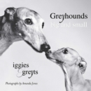 Image for Greyhounds big and small: iggies and greyts