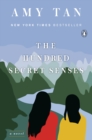 Image for Hundred Secret Senses: A Novel