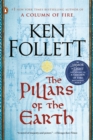 Image for The pillars of the Earth : 1