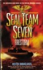 Image for Seal Team Seven: Firestorm: Firestorm.