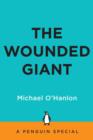 Image for The Wounded Giant: America&#39;s Armed Forces in an Age of Austerity
