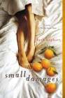 Image for Small Damages