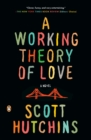 Image for A working theory of love