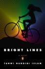 Image for Bright lines: a novel