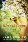 Image for After the Rain
