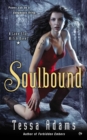 Image for Soulbound: a Lone Star witch novel