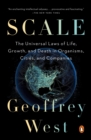 Image for Scale: the universal laws of growth, innovation, sustainability, and the pace of life in organisms, cities, economies, and companies