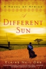 Image for A Different Sun: A Novel of Africa