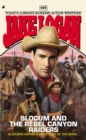 Image for Slocum and the Rebel Canyon Raiders