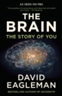 Image for Brain: The Story of You