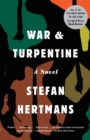 Image for War and turpentine: a novel