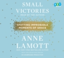 Image for Small Victories: Spotting Improbable Moments of Grace