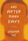 Image for And After Many Days: A Novel