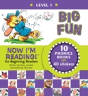 Image for Now I&#39;m Reading! Level 1: Big Fun