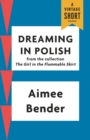 Image for Dreaming in Polish