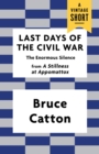 Image for Last Days of the Civil War: The Enormous Silence